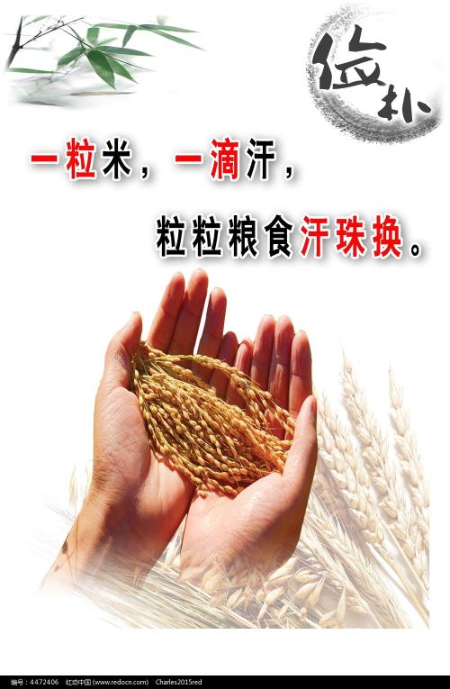 高知工科大学市场营销文凭证书